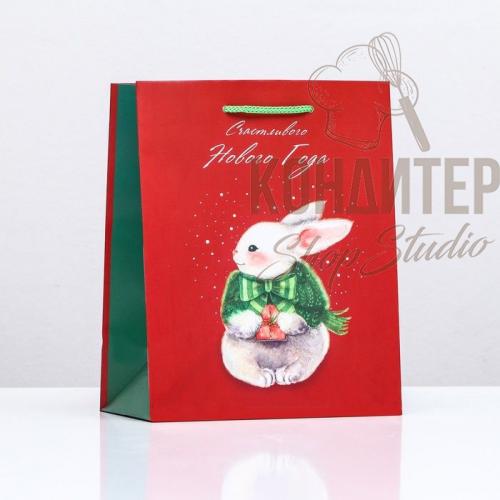 Пакет подарочный цветной 18*22*10см