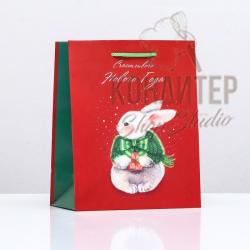 Пакет подарочный цветной 18*22*10см