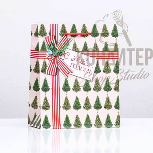 Пакет подарочный цветной 18*22*10см